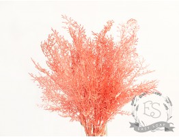Веточка травы "елочка" коралловый