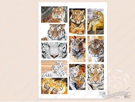 Набор картинок на водорастворимой бумаге "Тигры" прямоугольник 8,0х5,0