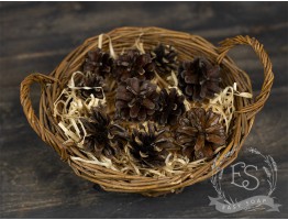 Соснові шишки для декору, 10 шт