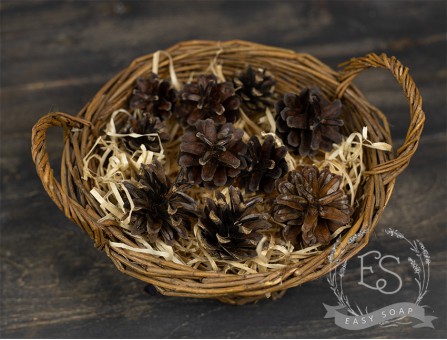 Набор натуральных шишек