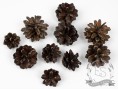 Набор натуральных шишек