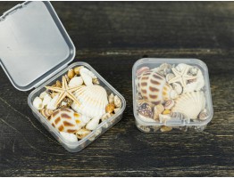 Набор ракушек №1