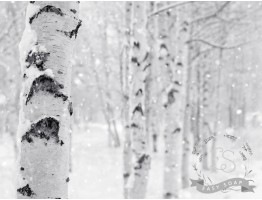 Віддушка "Лісовий сніг" (Woodland Snow) CS