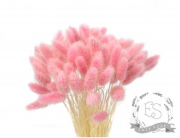 Сухоцвет лагурус (зайцехвост) стабилизированный розовый