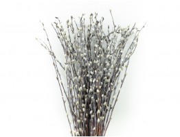 Веточки Вербы, котики (натуральные) Веточки Вербы, котики (натуральные)