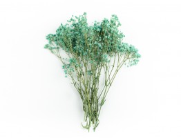 Букетик гипсофилы голубой Букетик гипсофилы голубой