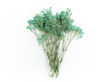 Букетик гіпсофіли блакитний