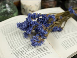 Сухоцвет кермек (сиреневый) букет