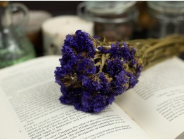 Сухоцвет кермек (фиолетовый) букет