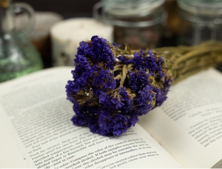 Сухоцвет кермек (фиолетовый) букет