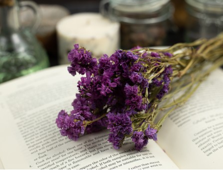 Сухоцвет кермек (фуксия)  букет