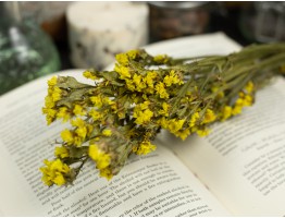 Сухоцвет кермек (желтый) букет