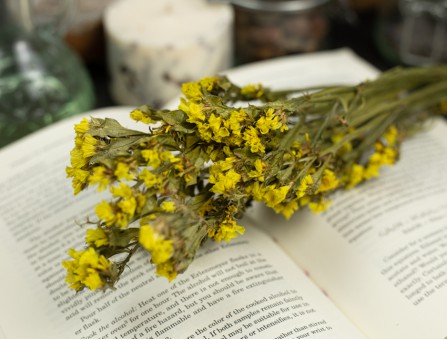 Сухоцвет кермек (желтый) букет