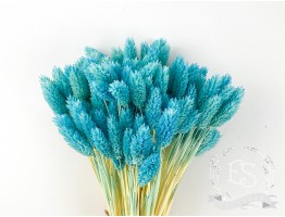 Сухоцвет фалярис стабилизированный голубой