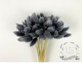 Сухоцвет лагурус (зайцехвост) стабилизированный серый