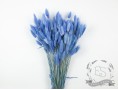 Сухоцвіт лагурус (зайцехвіст) стабілізований блакитний