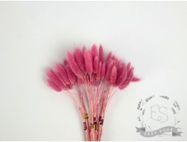 Сухоцвіт лагурус (зайцехвіст) стабілізований рожевий