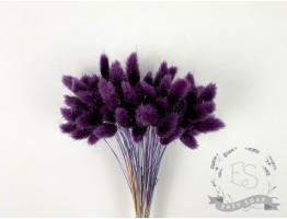 Сухоцвіт лагурус (зайцехвіст) стабілізований фіолетовий