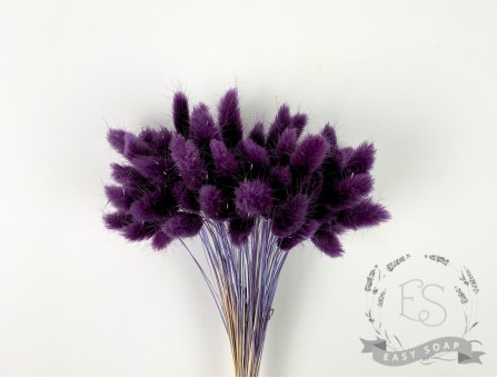 Сухоцвет лагурус (зайцехвост) стабилизированный фиолетовый