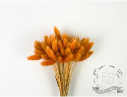 Сухоцвет лагурус (зайцехвост) стабилизированный морковный