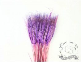Сухоцвет пшеница (фиолетовый)