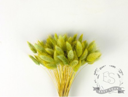Сухоцвет лагурус (зайцехвост) стабилизированный салатовый