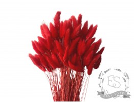 Сухоцвет лагурус (зайцехвост) стабилизированный красный