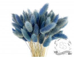 Сухоцвіт лагурус (зайцехвіст) стабілізований блакитний