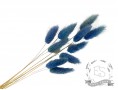 Сухоцвет лагурус (зайцехвост) стабилизированный голубой