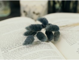 Сухоцвет лагурус (зайцехвост) стабилизированный сизый