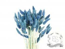 Сухоцвет лагурус (зайцехвост) стабилизированный синий