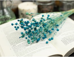 Сухоцвет льна (синий)