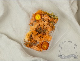 Набір сухоцвітів помаранчевий