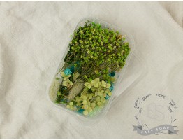 Набор сухоцветов зеленый