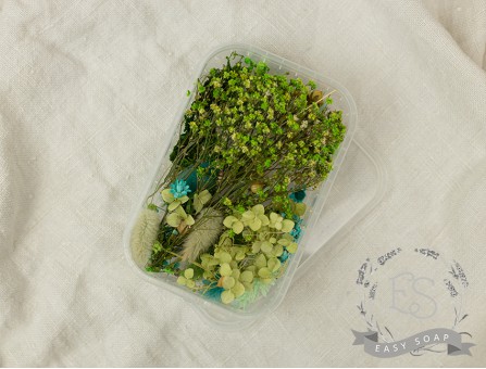 Набор сухоцветов зеленый Набор сухоцветов зеленый