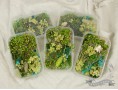 Набір сухоцвітів зелений