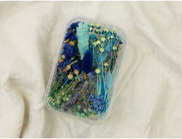 Набор сухоцветов голубой Набор сухоцветов голубой