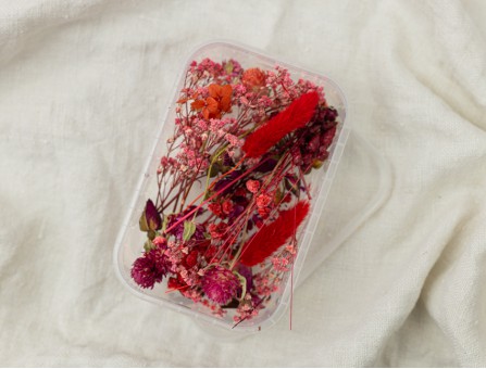 Набор сухоцветов красный