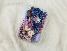 Набір сухоцвітів фіолетовий