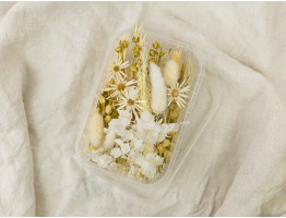 Набор сухоцветов пастельный