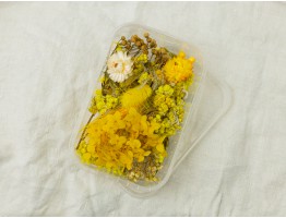 Набор сухоцветов желтый 