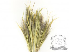 Сухоцвіт просо (натуральний)