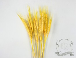 Сухоцвет пшеница (желтая)