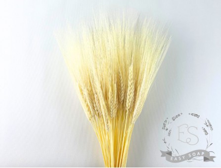 Сухоцвіт пшениця Жізель (відбілена)