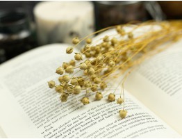 Сухоцвіт льону (натуральний)