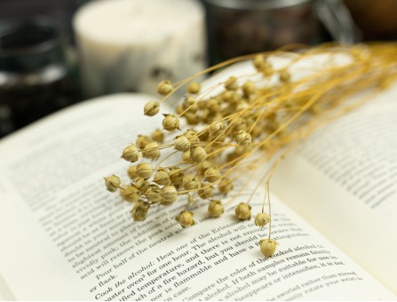 Сухоцвіт льону (натуральний)