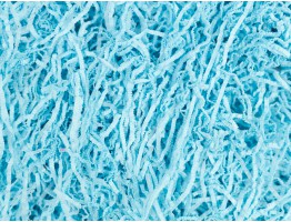 Натуральный наполнитель бумажный ТИШЬЮ голубой