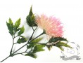 Гілочка часнику, суцвіття (рожевий)