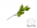 Веточка "заячья капуста", крупный лист (желтый)