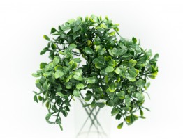 Веточка самшита (салатовый)